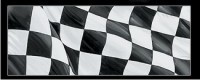 Checkered Flag - Glasscapes # 10005