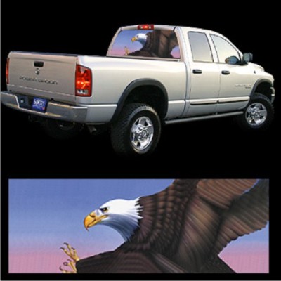 American Bald Eagle - Glasscapes # 10022