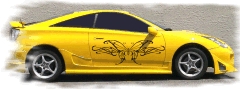 Butterfly REB12