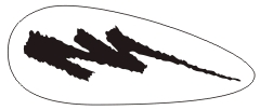 TK-706-A
