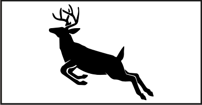 Big Buck - Deer
