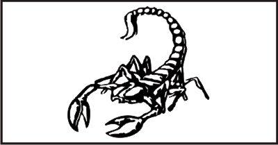 Scorpion