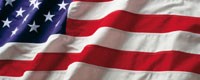 Rear Window Canvas <br><br>American Pride