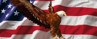 Rear Window Canvas <br><br>American Strength