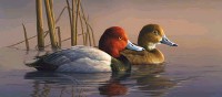 Rear Window Canvas <br><br>Ducks<br>Autumn Whitetails 1